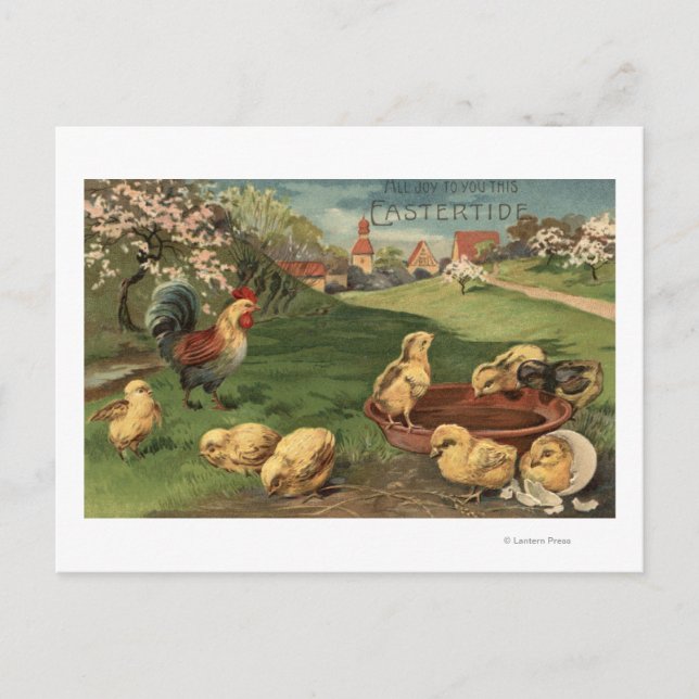 Carte Postale Coq et poussins (Devant)