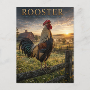 Carte Postale Coq Ferme Rurale ANIMALS