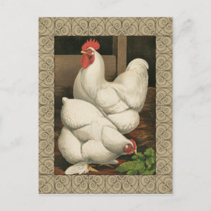Carte Postale Coq & Hen à l'extérieur Hen House avec frontière b