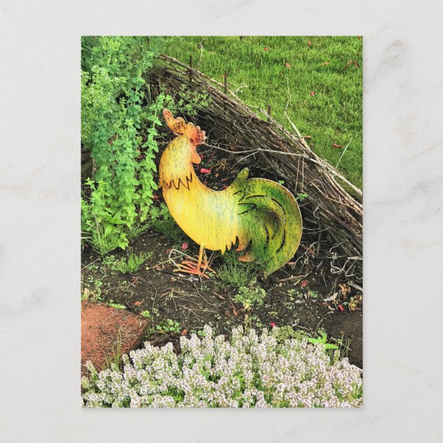 Carte Postale Coq jaune et vert (Devant)