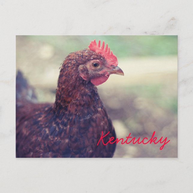 Carte Postale Coq par JerseyFawn (Devant)