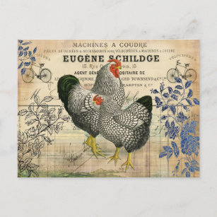 Carte Postale Coq vintage et Hen Ephemera