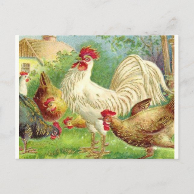 Carte Postale Coq vintage et poulets (Devant)