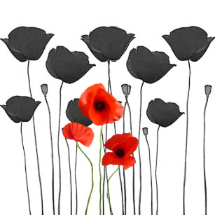 Cartes Postales Coquelicot Originales Zazzle Fr Cartes Postales Coquelicot Originales Zazzle Fr