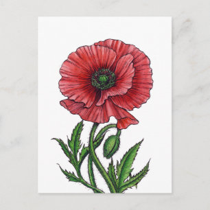 Carte Postale Coquelicot, aquarelle et encre