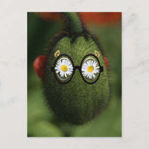 Carte Postale coquelicot idiot