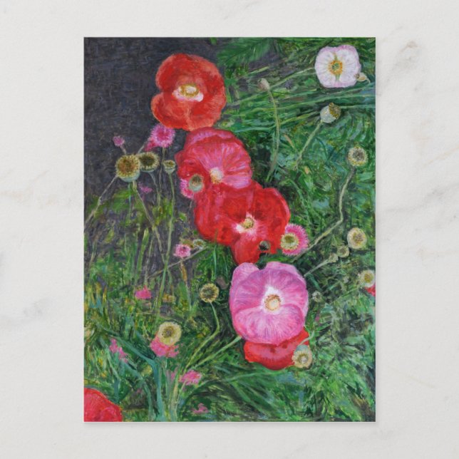Carte Postale Coquelicots 2009 (Devant)