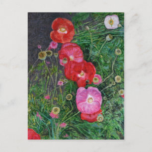 Carte Postale Coquelicots 2009