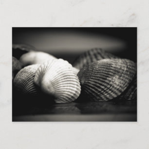 Carte Postale Coques