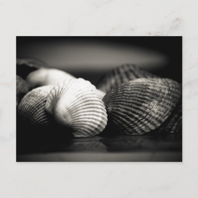 Carte Postale Coques (Devant)