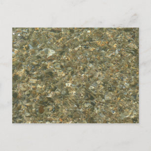 Carte Postale Coques sous l'eau de ruissellement