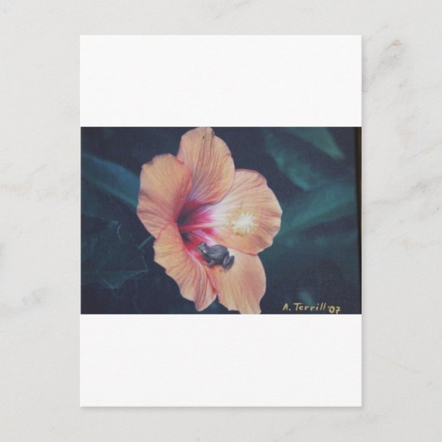 CARTE POSTALE COQUI (Devant)