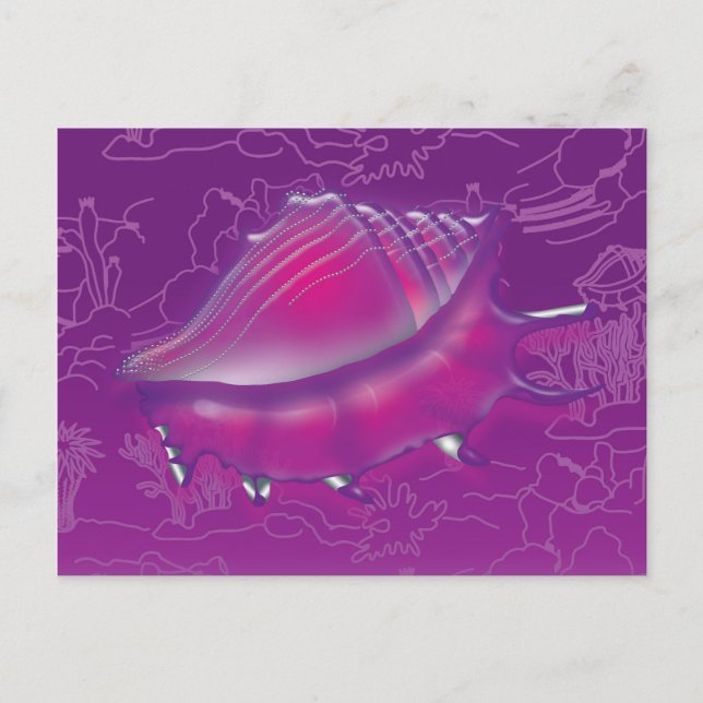 Carte Postale Coquillage (Devant)