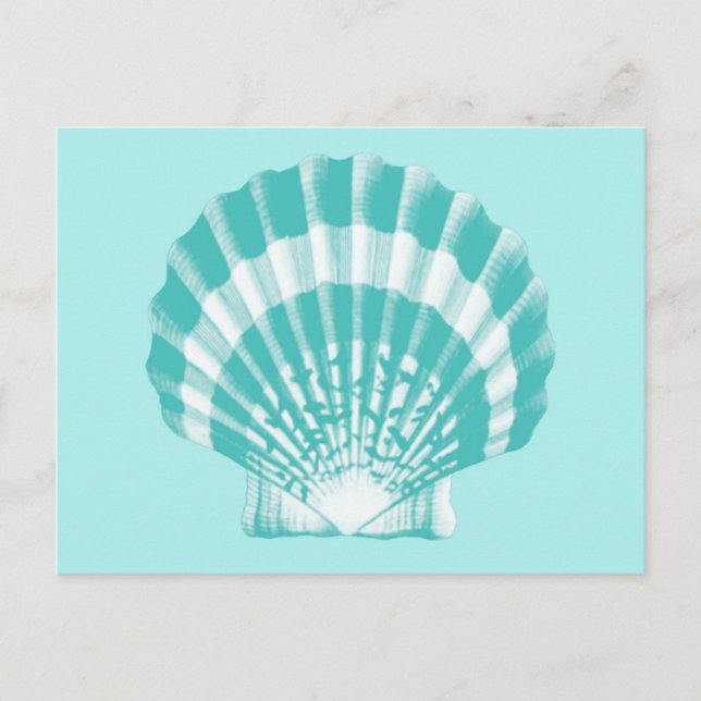 Carte Postale Coquillage - aqua doux et blanc (Devant)