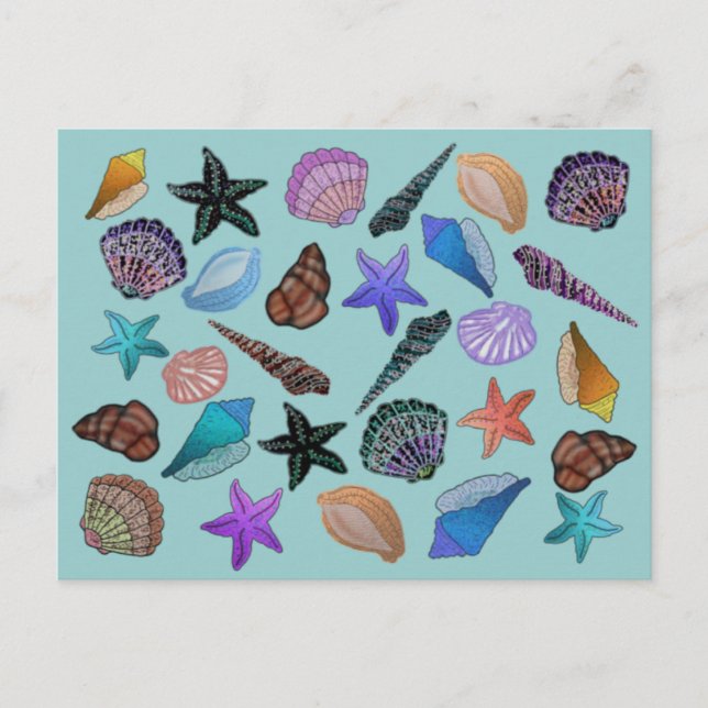 Carte Postale Coquillages (Devant)