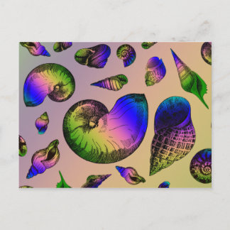 Carte Postale Coquillages
