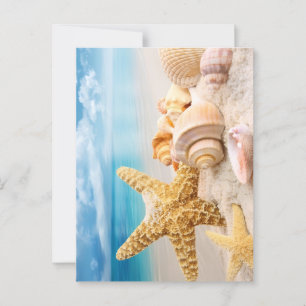 Carte Postale Coquillages