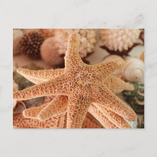 Carte Postale Coquillages à vendre Zihuatanejo, Mexique