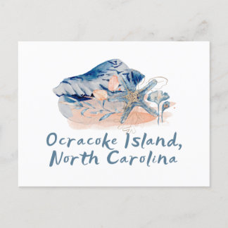 Carte Postale Coquillages de l'île Ocracoke