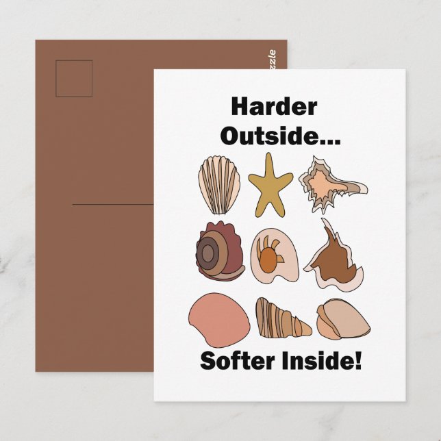 Carte Postale Coquillages Durs à l'Extérieur Douceur à l'Intérie (Devant / Derrière)