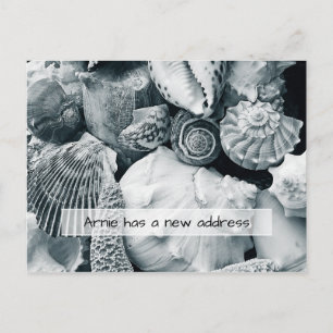 Carte Postale Coquillages Noir et Blanc Annonce d'une Nouvelle A