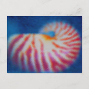 Carte Postale Coquillages sous-marins sous l'eau