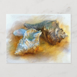 Carte Postale Coquillages sur la plage