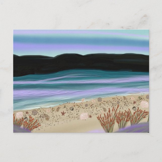 Carte Postale Coquillages sur le rivage (Devant)