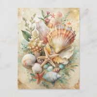 Coquillages Vintage Étoile de Mer Océan Plage Côti