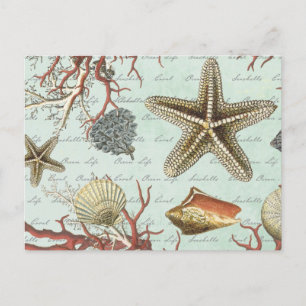 Carte Postale Coquillages vintages...carte postale