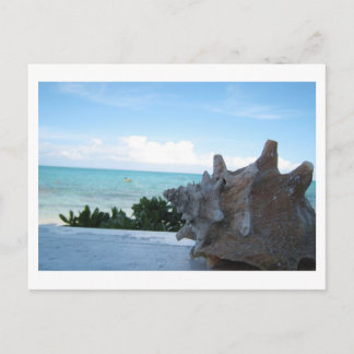 Carte Postale Coquille au bord de l'océan