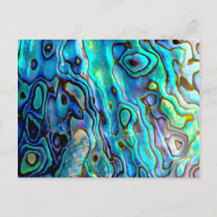 Carte Postale Coquille d'aluminium