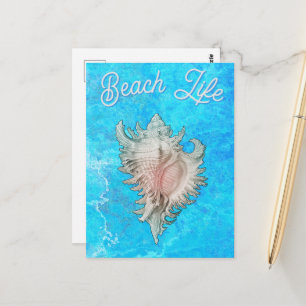 Carte Postale Coquille de Conque "Vie de Plage"