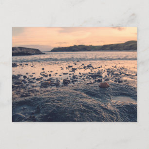 Carte Postale Coquille de la mer du Nord