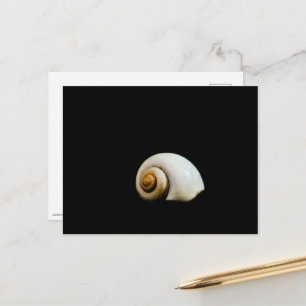 Carte Postale Coquille de Lune