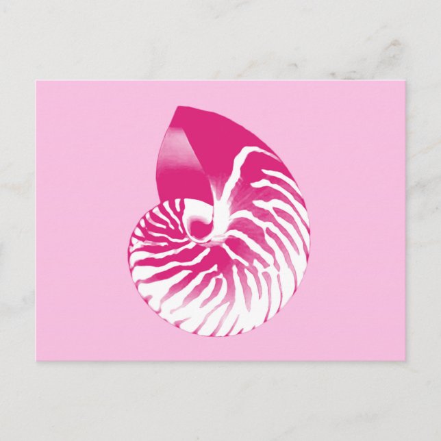 Carte Postale Coquille de nautile - rose fuchsia et blanc (Devant)