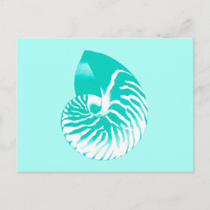 Carte Postale Coquille de nautile - turquoise, aqua et blanc