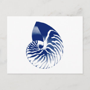 Carte Postale Coquille de Nautilus - bleu marine et blanc