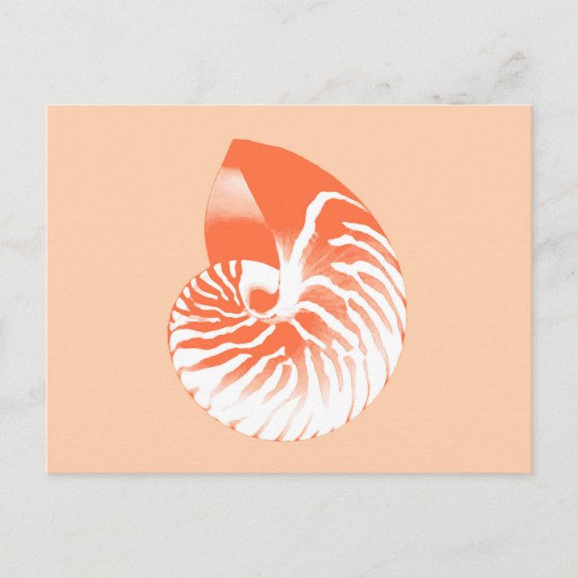 Carte Postale Coquille de Nautilus - corail orange et blanc (Devant)