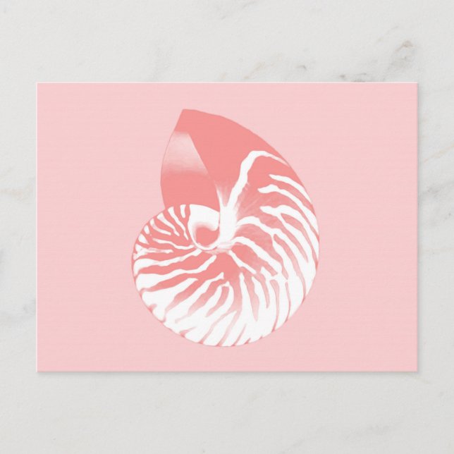 Carte Postale Coquille de Nautilus - corail rose et blanc (Devant)