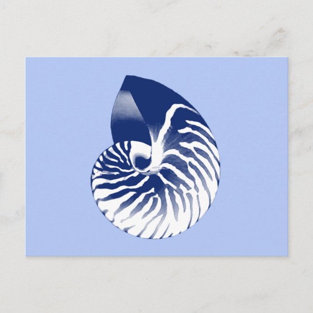 Carte Postale Coquille de Nautilus - marine, blanc & bleu clair (Devant)