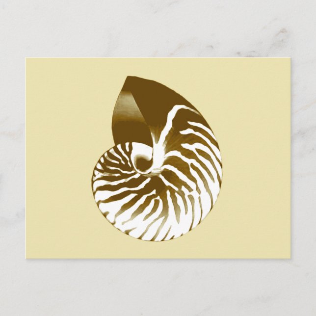 Carte Postale Coquille de Nautilus - marron, blanc et beige (Devant)