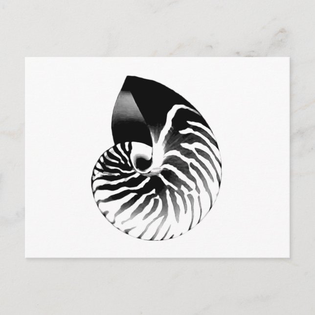 Carte Postale Coquille de Nautilus - noir, gris et blanc (Devant)