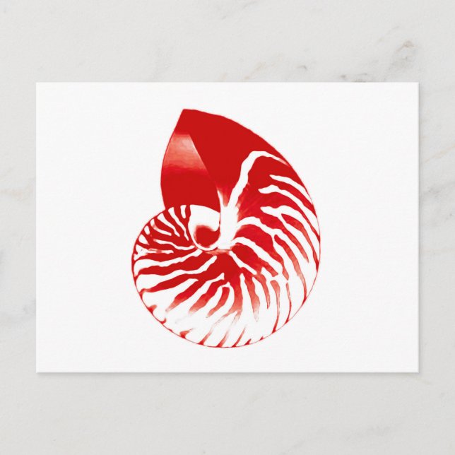 Carte Postale Coquille de Nautilus - rouge foncé et blanc (Devant)