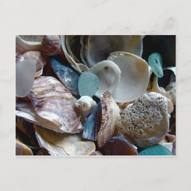 Carte Postale Coquille de verre marin collectée (Devant)