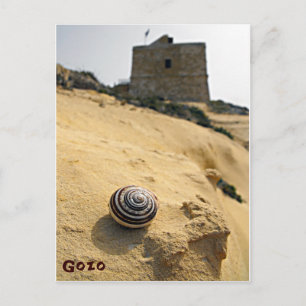 Carte Postale Coquille et tour, Gozo, Malte