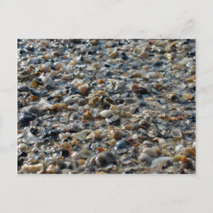 Carte Postale Coquilles et galets