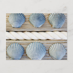 Carte Postale Coquilles New York City