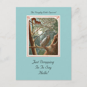 Carte postale Coquine Little Squirrel