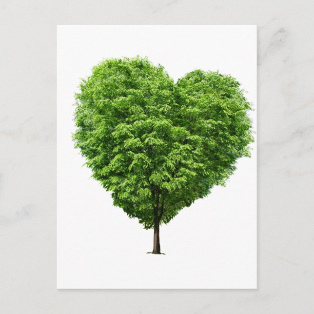 Carte Postale coração ecologico (Devant)